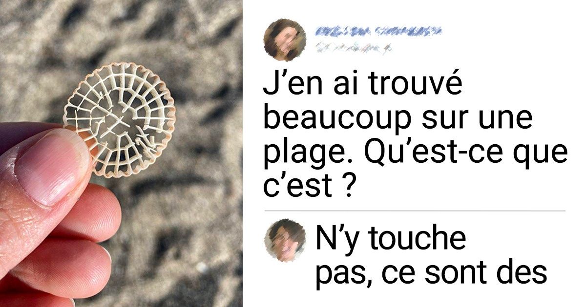 21 Personnes qui ont trouvé de véritables trésors sur la plage