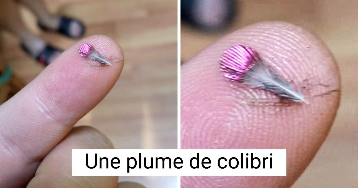 18 Moments où les internautes ont découvert des choses étonnantes alors qu’ils ne s’y attendaient pas du tout