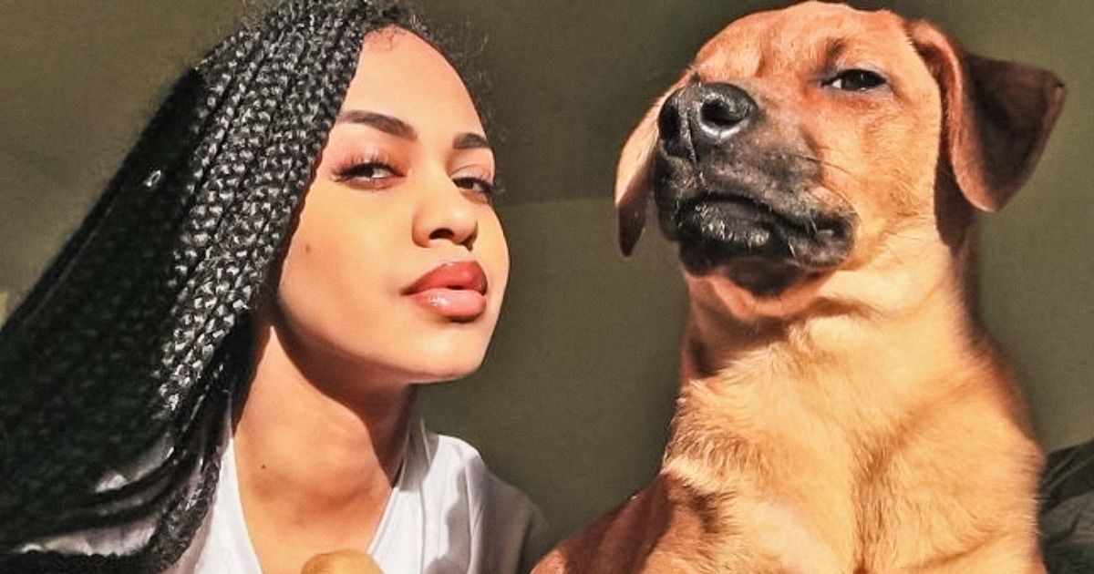 25+ Animaux qui imitent les humains tellement bien qu’ils devraient avoir leur propre carte d’identité