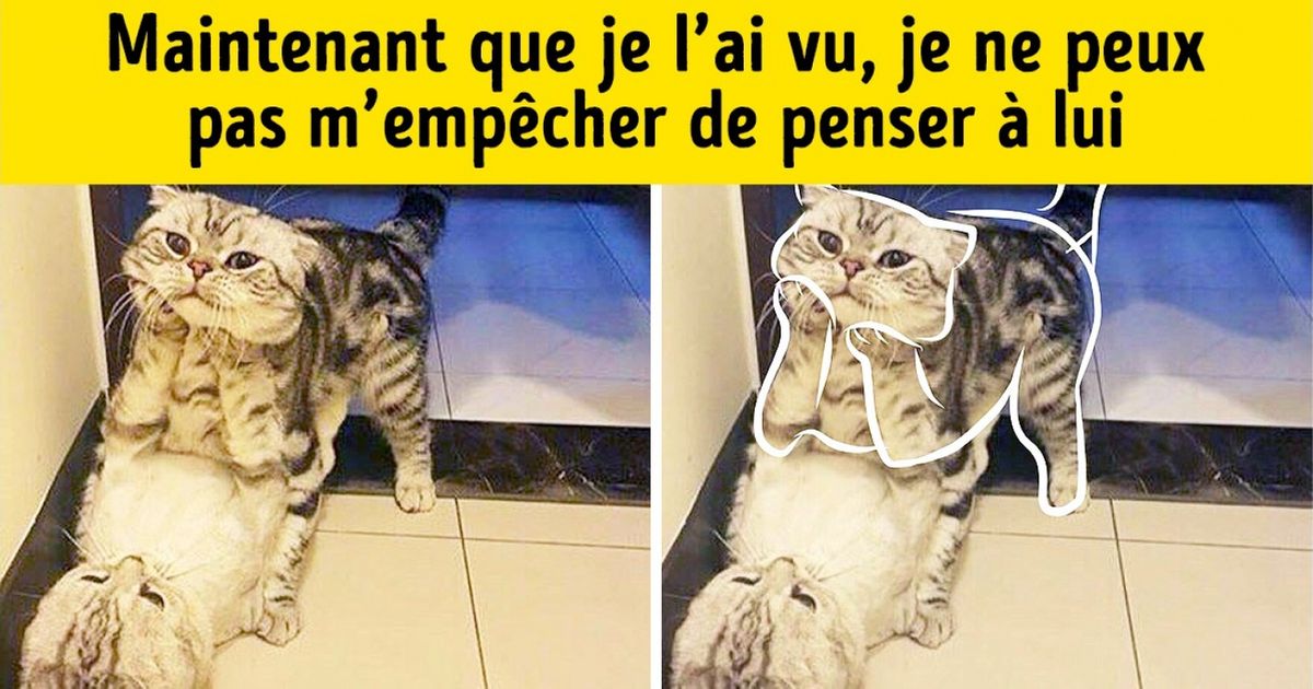 Observe ces photos plusieurs fois, et tu en auras une tout autre perspective...