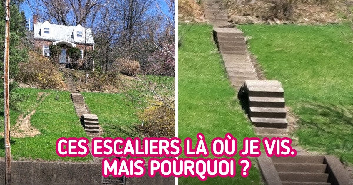 20 Photos qui peuvent nous faire nous demander si certains designers ne devraient pas retourner à l’école