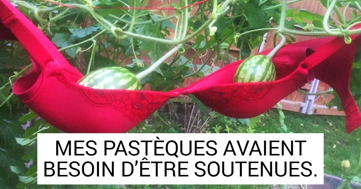 20 Personnes qui savent résoudre des problèmes en abordant les choses sous un angle différent