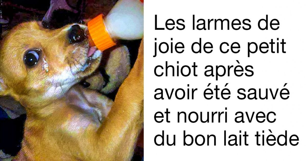 Les protagonistes de ces 25 photos respirent la joie, et ça nous fait juste craquer !