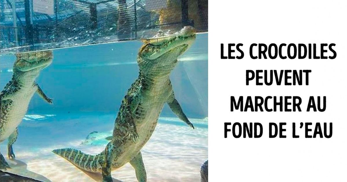 La vie a tendance à nous faire croire des choses totalement fausses, et en voici 15 avec preuves en images