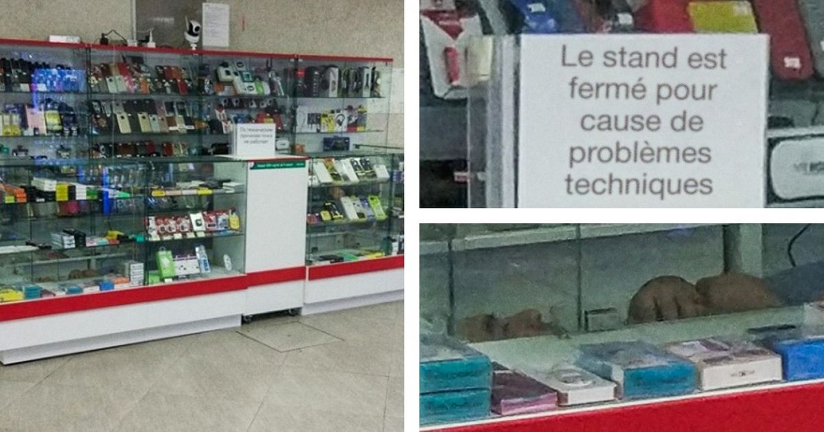 Le manque de sommeil rend fou en voici la preuve en 22 images