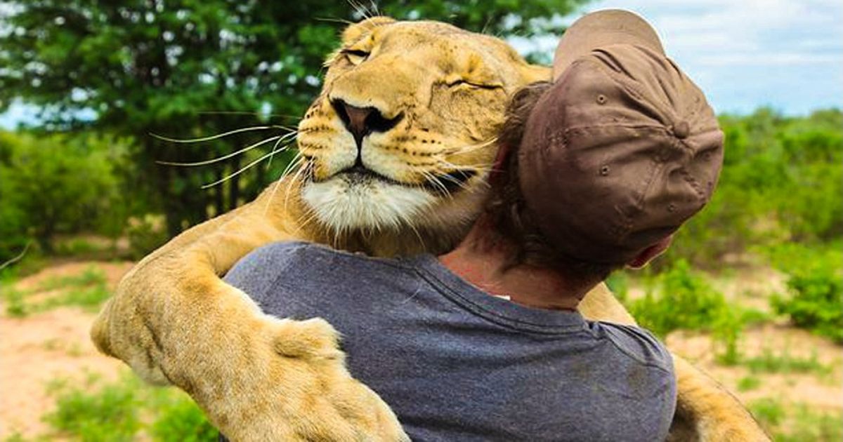 Ces 15 animaux incroyables sont si courageux qu’ils ont sauvé la vie d’êtres humains