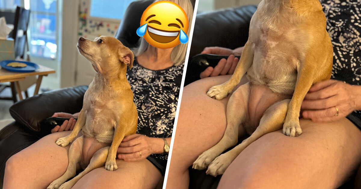 15 Photos déroutantes qui te feront penser “Attends une minute...”