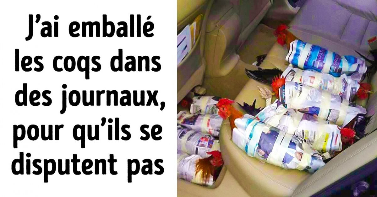 Ces 24 personnes sont capables de résoudre n’importe quel problème en un rien de temps ! Ces 24 personnes sont capables de résoudre n’importe quel problème en un rien de temps !