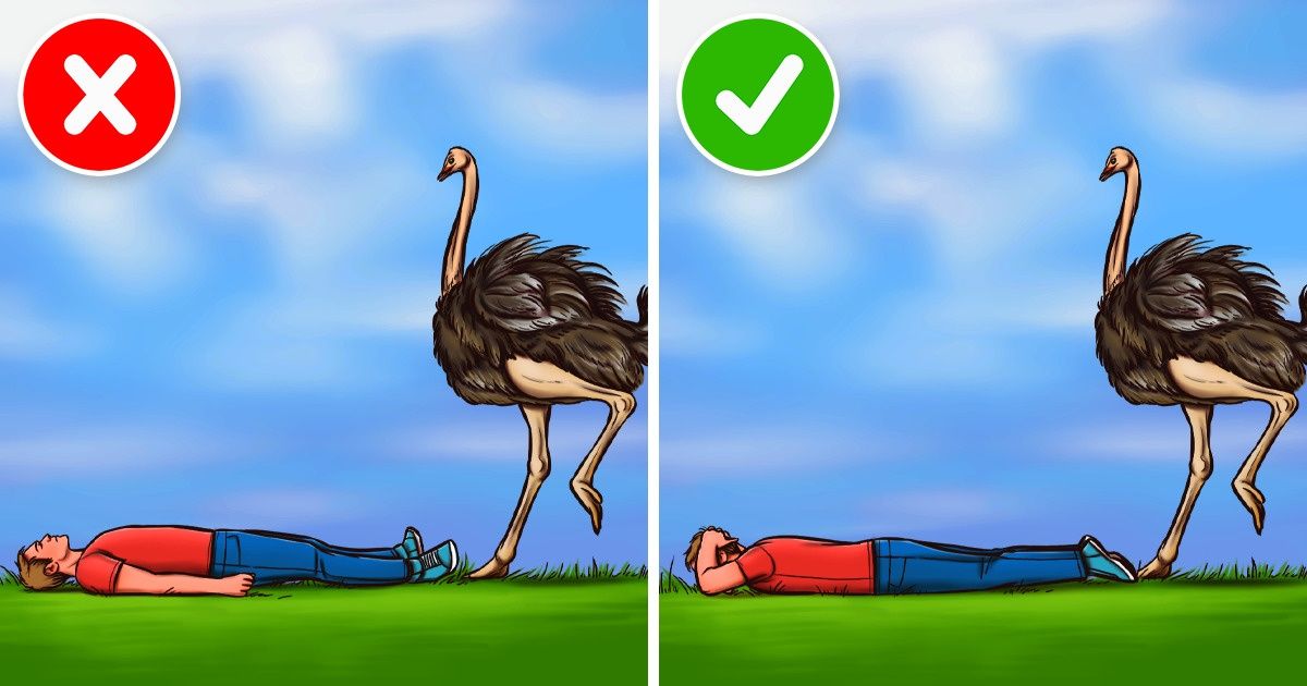 10 Astuces de survie qui fonctionnent mieux qu’un sortilège de Patronus