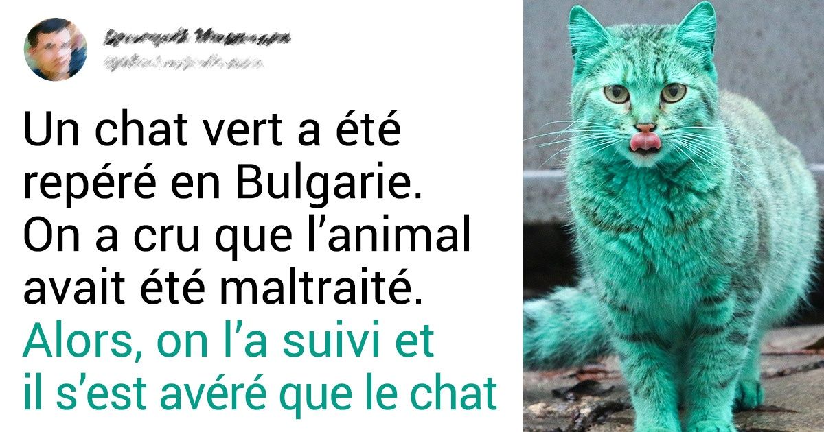 18 Histoires saisissantes qui ont été immortalisées grâce à un simple cliché 18 Histoires saisissantes qui ont été immortalisées grâce à un simple cliché