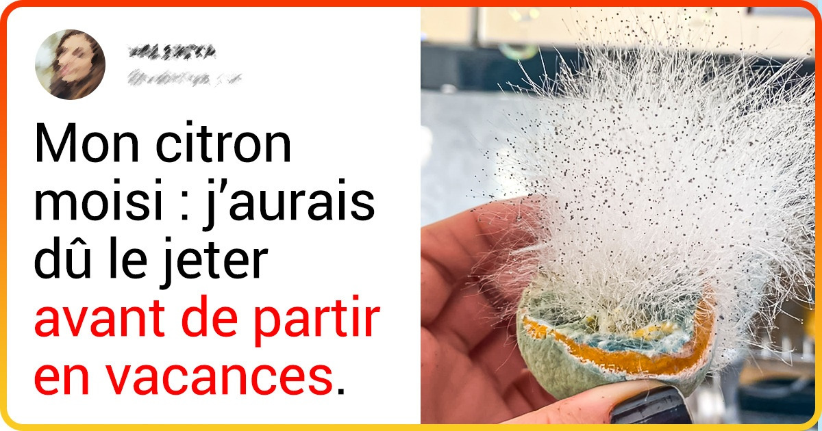 21 Moments où la beauté de la vie a brillé dans toute sa splendeur sur un objet du quotidien