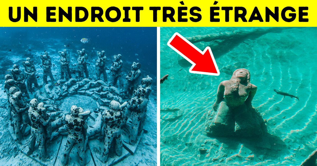 Cette Ville Sous-Marine En Inde Pourrait Être La Plus Ancienne Du Monde