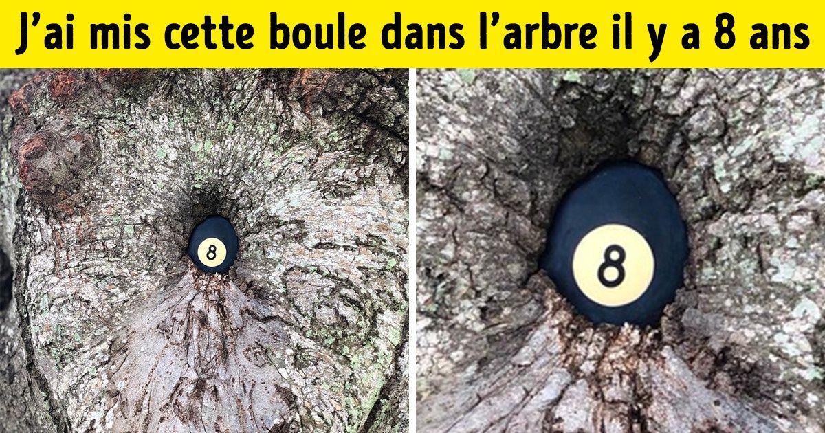 23 Photos étranges qui prouvent que notre monde est rempli de merveilles