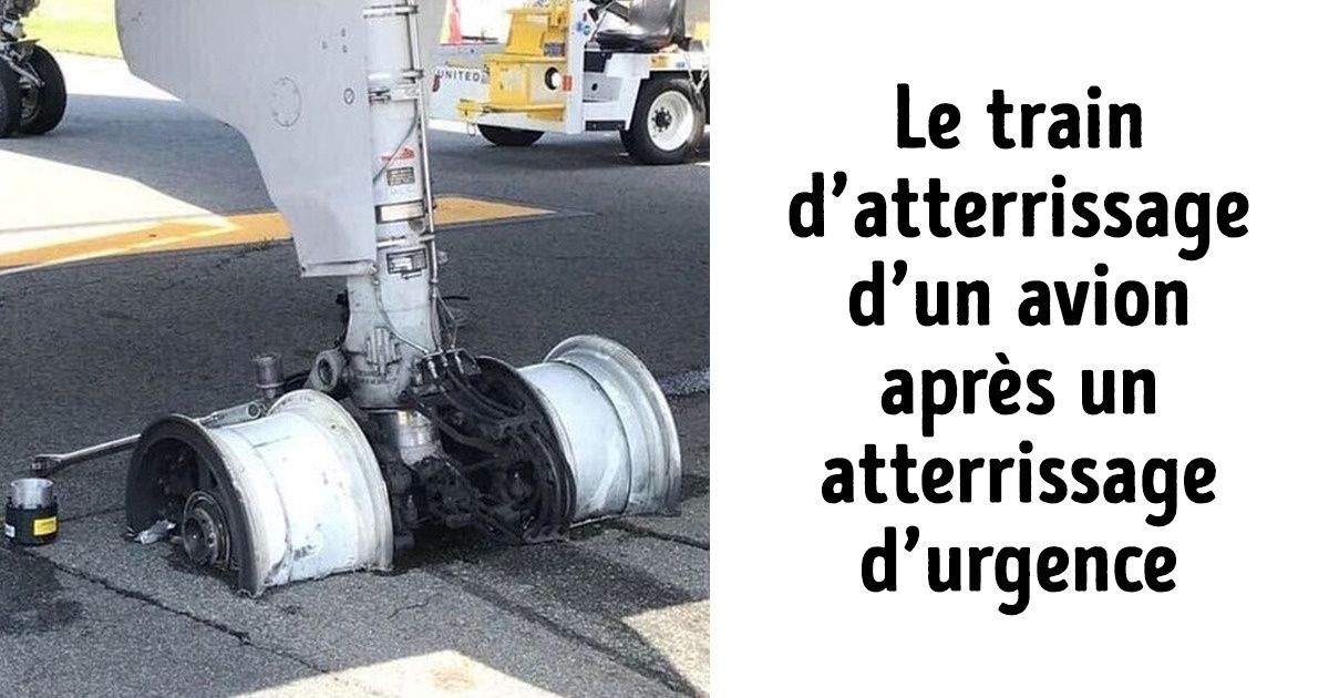 15 Photos qui te laisseront dans un état de stupeur 15 Photos qui te laisseront dans un état de stupeur