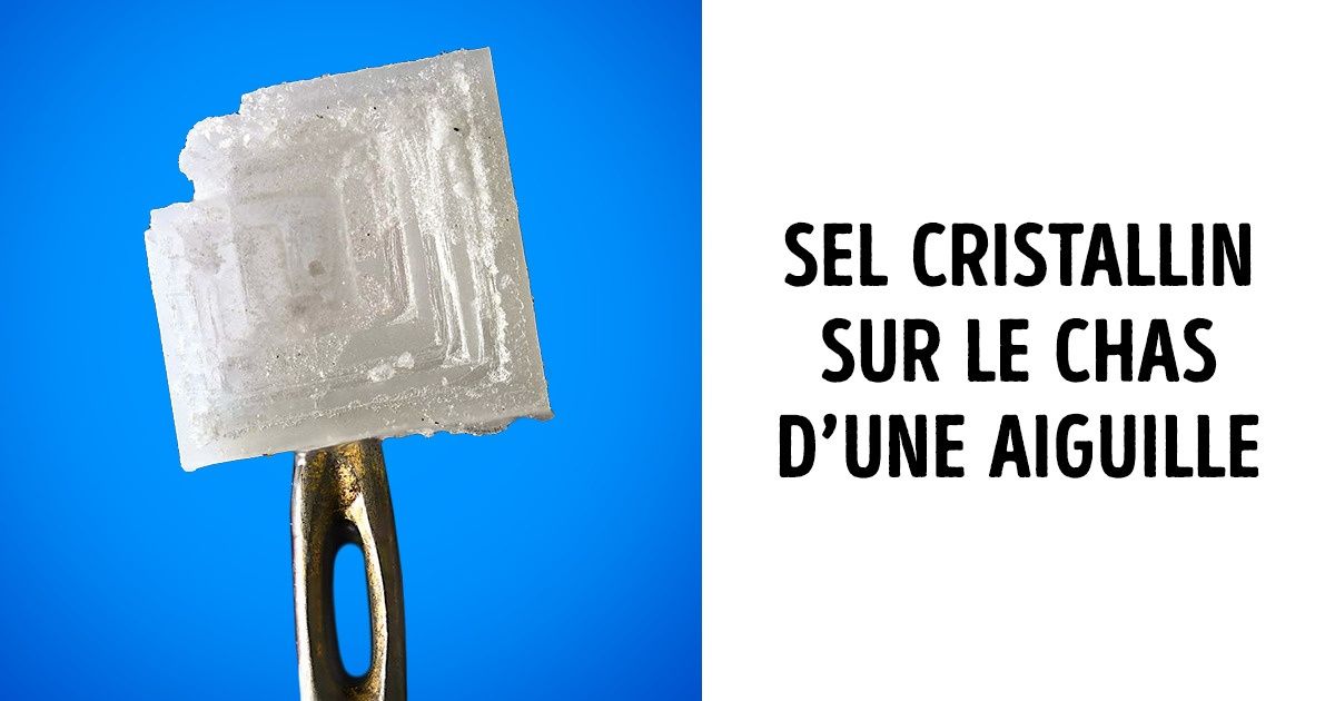 Ces photos étonnantes montrent à quoi ressemblent des objets ordinaires vus sous un microscope