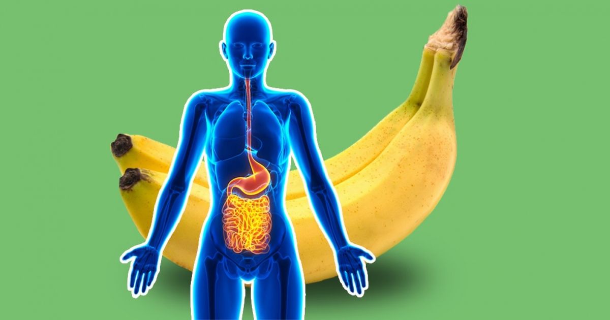 7 Bienfaits des bananes sur le corps humain