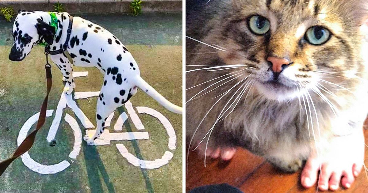 20+ Photos originales que tu vas vouloir reproduire sans plus attendre 20+ Photos originales que tu vas vouloir reproduire sans plus attendre