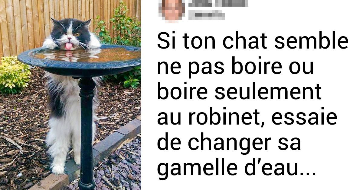 15 Conseils avisés d’internautes sur des petites choses du quotidien