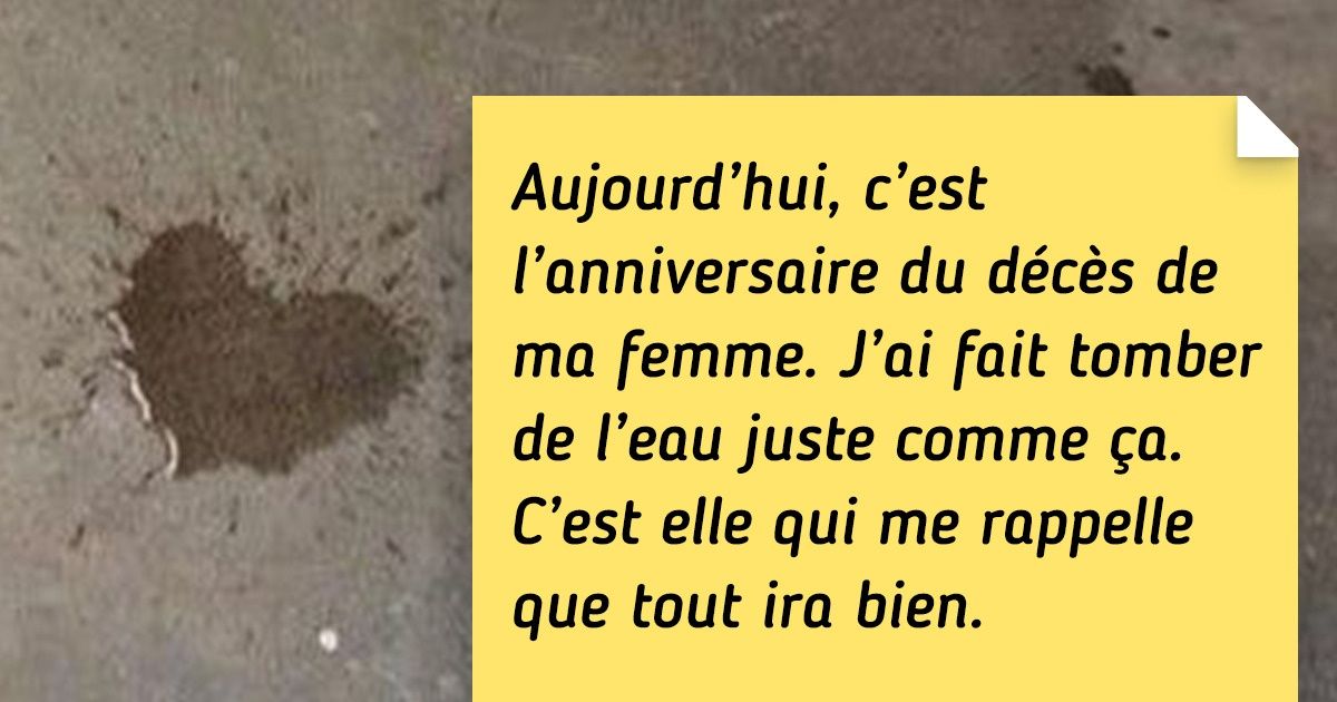 19 Photos qui réveilleront l’optimiste endormi au fond de chacun de nous 19 Photos qui réveilleront l’optimiste endormi au fond de chacun de nous