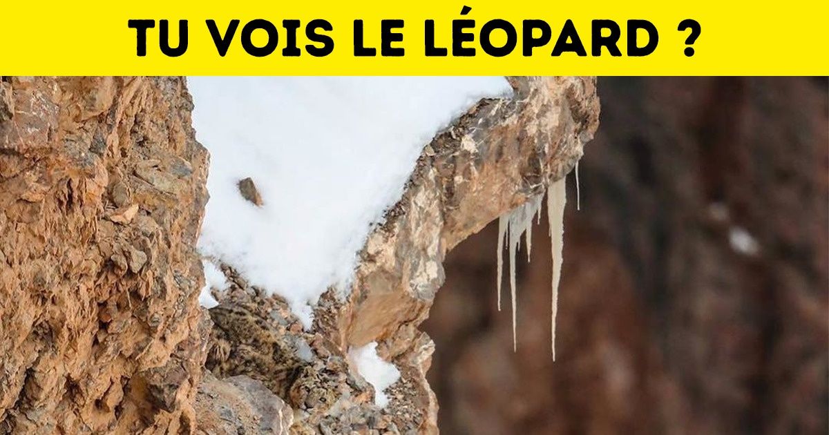 18 Photos qu’il faut regarder plusieurs fois pour en saisir tous les détails