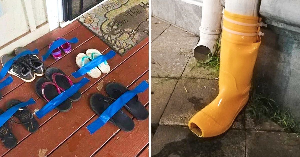 18 Personnes qui s’en sortiront toujours grâce à leur ingéniosité