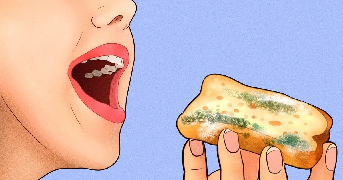 Que se passerait-il si tu mangeais de la moisissure par erreur Que se passerait-il si tu mangeais de la moisissure par erreur