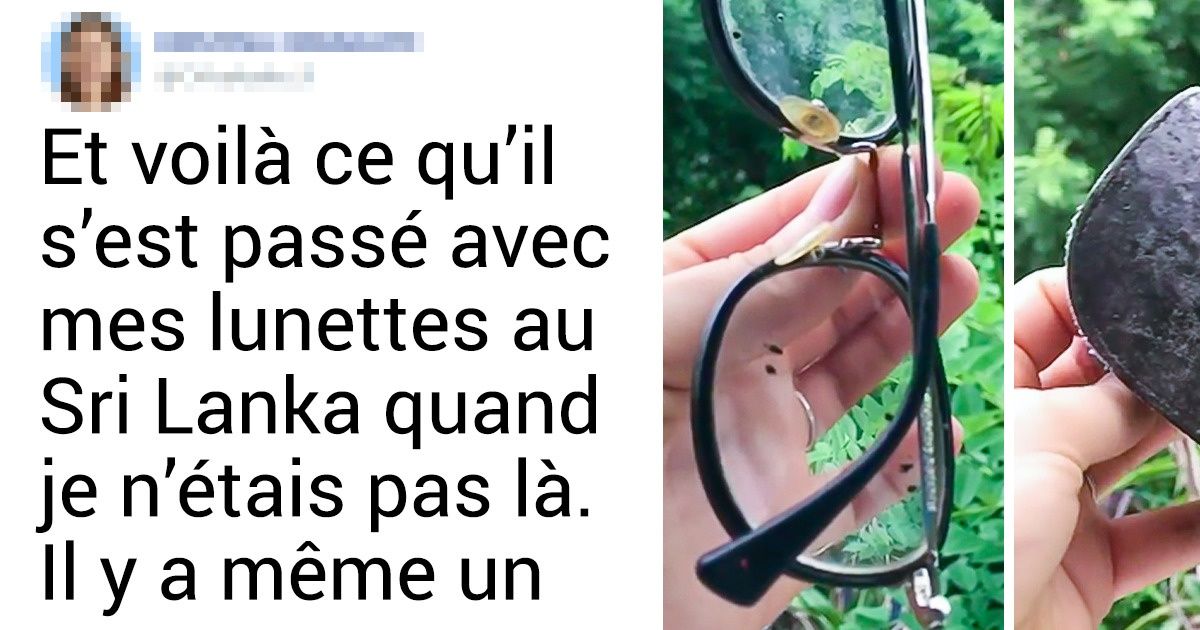 13 Détails que les gens qui rêvent de vivre sur des îles paradisiaques ignorent souvent