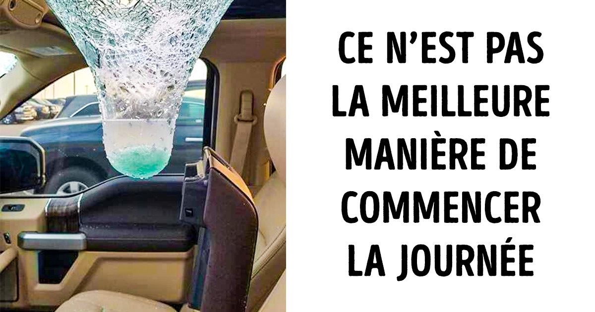 20 Photos montrant mieux que mille mots ce qu’est “l’effet de surprise”