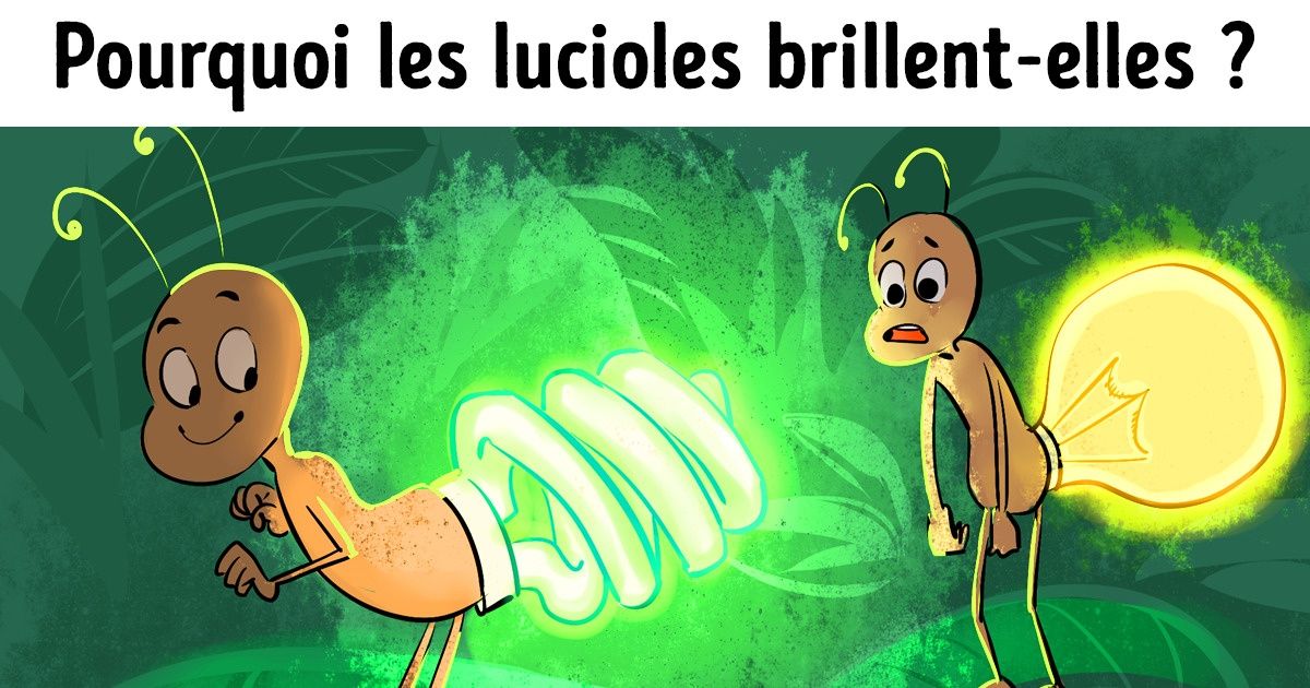 10 Questions sur le monde que posent fréquemment les enfants et auxquelles beaucoup d’adultes ne savent pas répondre 10 Questions sur le monde que posent fréquemment les enfants et auxquelles beaucoup d’adultes ne savent pas répondre