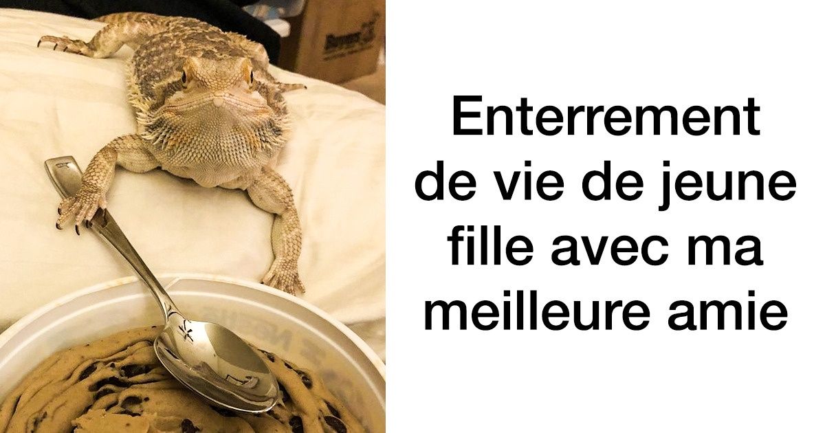 Dans le monde, il y a toujours de la place pour une véritable amitié. Si tu en doutes, regarde ces photos
