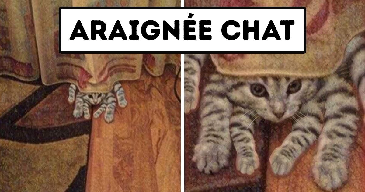 18 Photos Qui Prouvent Que Les Chats Ne Se Lassent Jamais D Entourlouper Les Humains