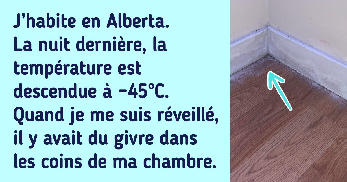 17 Photos d’hiver qui donnent envie d’enfiler un pull chaud et d’éviter de mettre le nez dehors