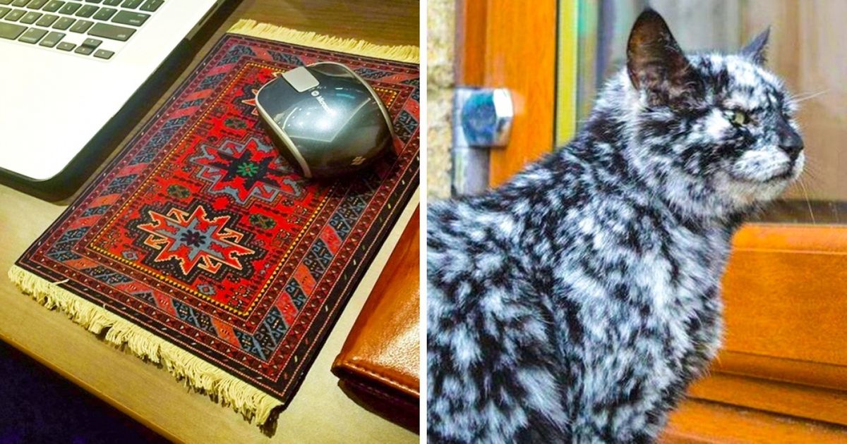 Ces 26 photos bizarres vont changer ta vision du quotidien !