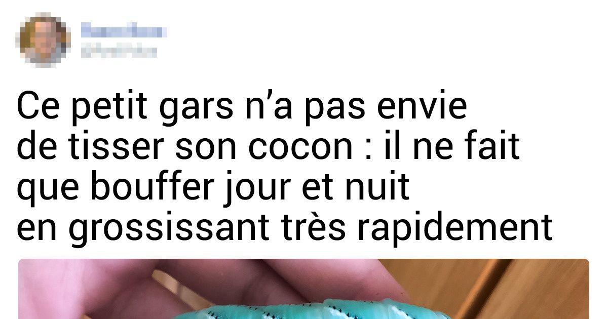 20+ Photos qui montrent que la taille de choses ordinaires est parfois imprévisible