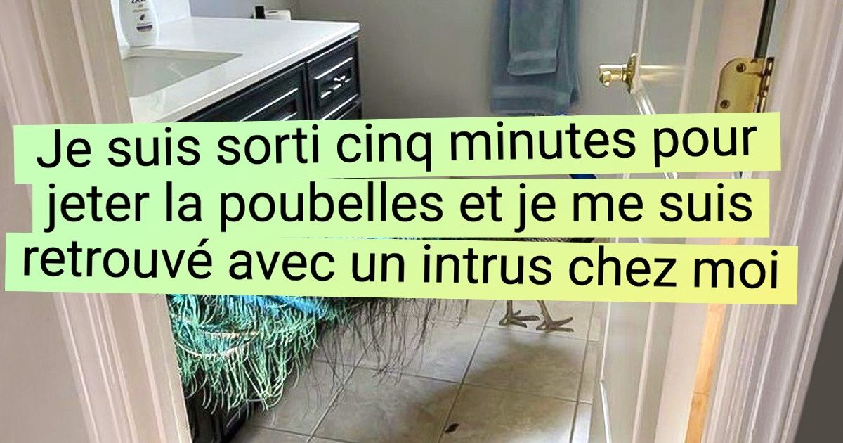 20 Moments où la réalité a perdu tout son sens