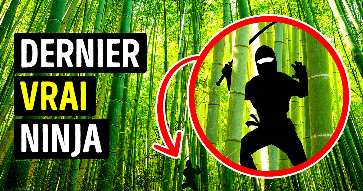 Il ne reste qu’un seul VRAI Ninja sur Terre