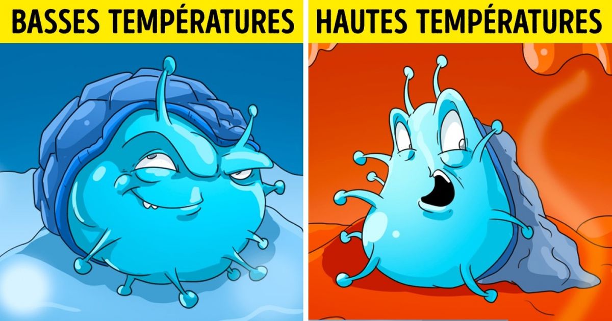 Cet article va mettre fin une bonne fois pour toutes à la fameuse question : tombe-t-on réellement malade à cause du froid ?
