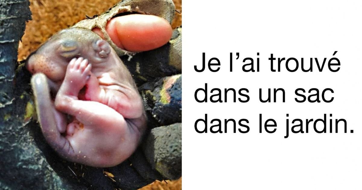 Ces 25 personnes ont partagé sur Internet leurs découvertes uniques et inattendues