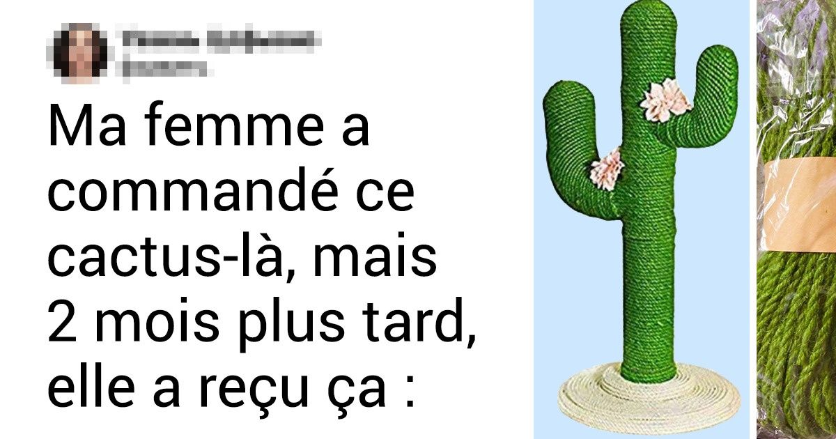20 Cas où l’attente n’en valait vraiment pas la peine