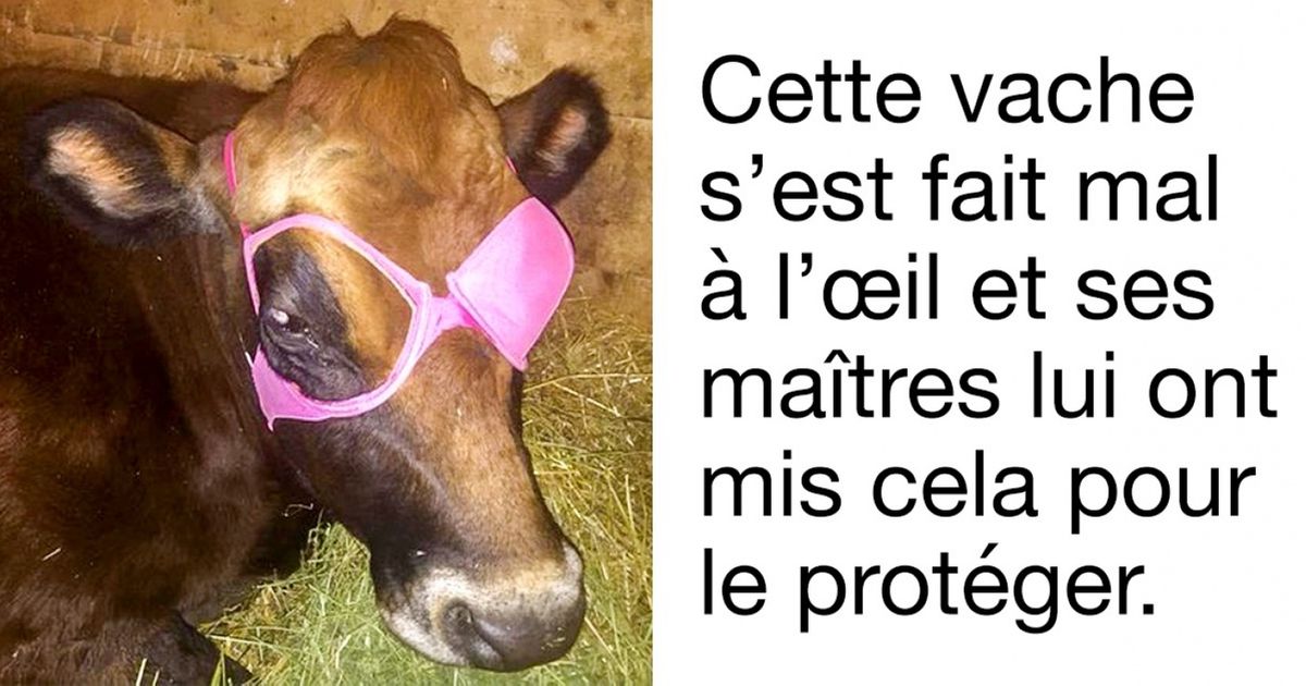 Ces 23 photos prouvent que la créativité humaine ne connaît pas de limites