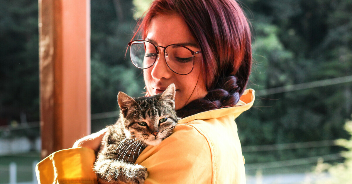 Les chats s’attachent à leur maître comme un bébé à ses parents, selon une étude Les chats s’attachent à leur maître comme un bébé à ses parents, selon une étude