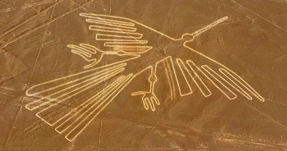 Les scientifiques révèlent le mystère de l’identité des oiseaux sur les lignes de Nazca (et cela ne correspond pas à la théorie de ces 100 dernières années) Les scientifiques révèlent le mystère de l’identité des oiseaux sur les lignes de Nazca (et cela ne correspond pas à la théorie de ces 100 dernières années)