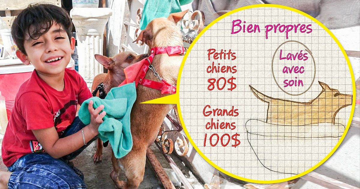 Un petit garçon mexicain a ouvert sa propre entreprise avec le slogan “On lave les chiens avec amour”