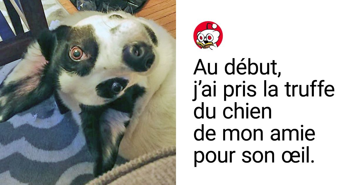 18 Photos ayant saisi des moments où rien n’était ce qu’il semblait être 18 Photos ayant saisi des moments où rien n’était ce qu’il semblait être