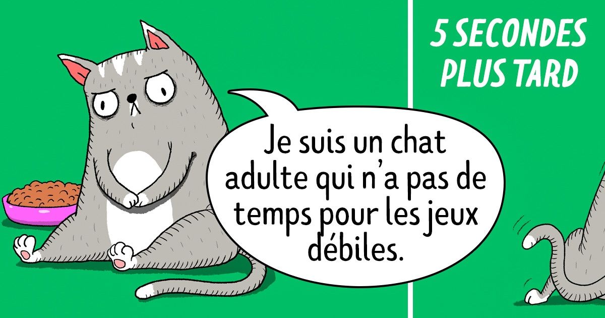 14 Illustrations qui prouvent que les chats sont les êtres les plus contradictoires de la planète
