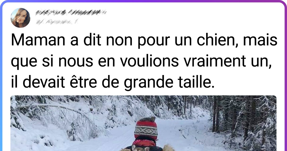 18 Chiens et chats qui ont conquis le cœur de mamans qui avaient juré qu’elles ne voulaient pas d’animaux à la maison
