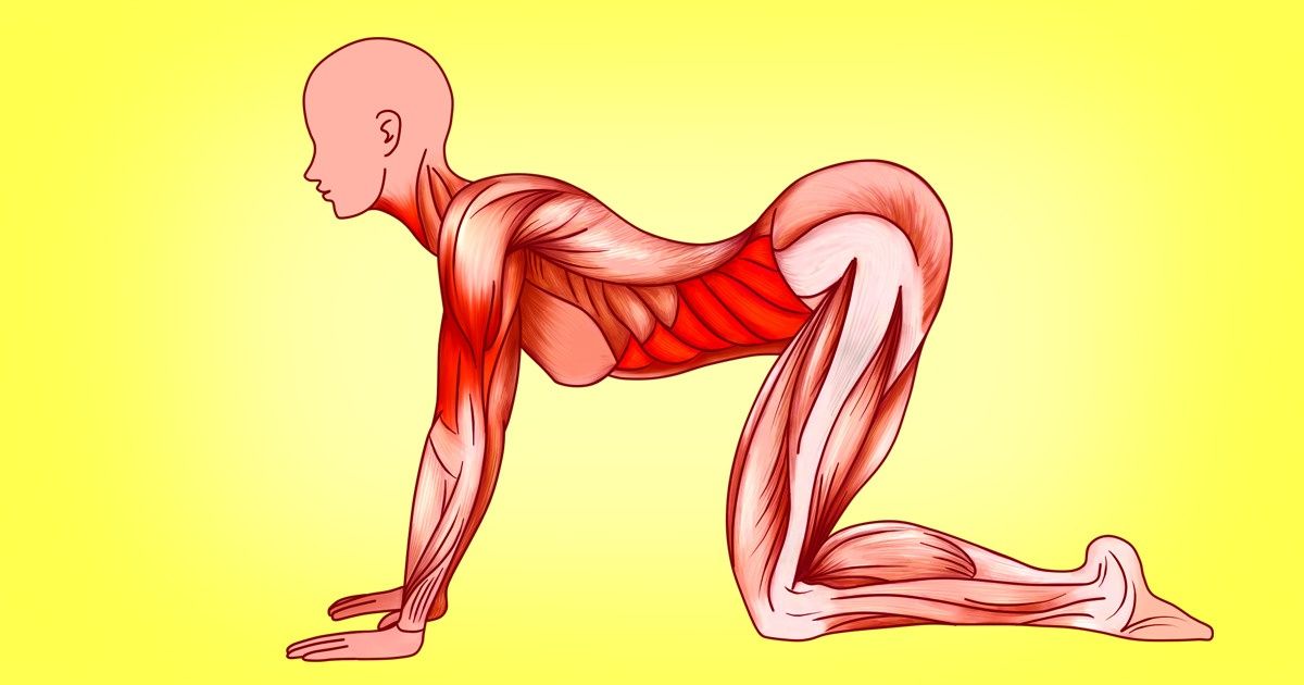 7 exercices japonais qui sont parfaits pour le corps des femmes 7 exercices japonais qui sont parfaits pour le corps des femmes