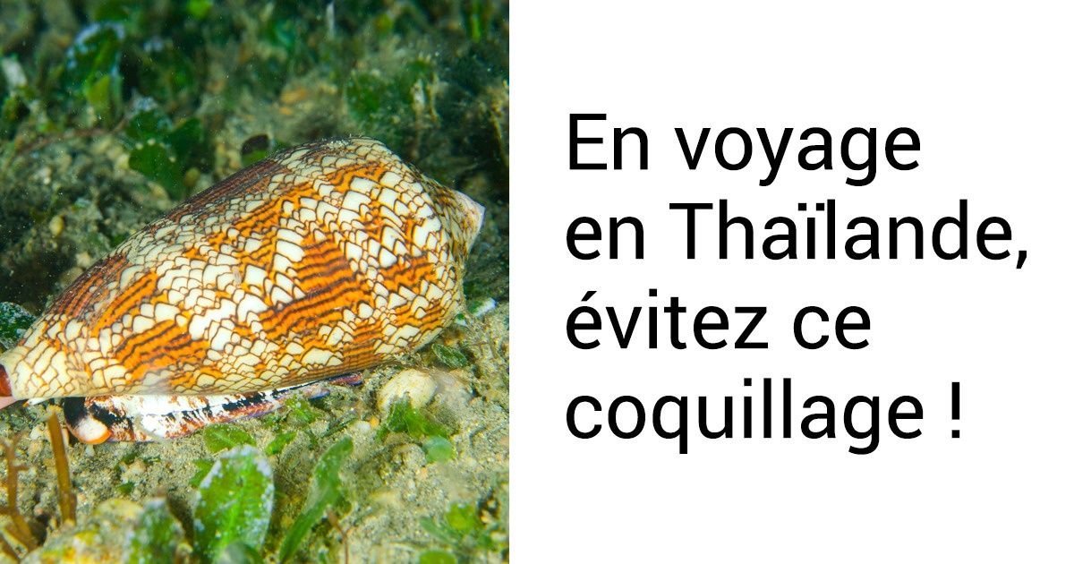 9 mauvaises surprises que les globe-trotteurs pourraient affronter dans les destinations touristiques à la mode 9 mauvaises surprises que les globe-trotteurs pourraient affronter dans les destinations touristiques à la mode