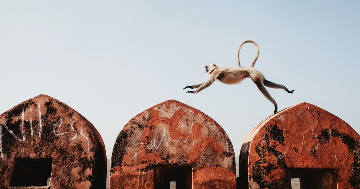 L’Inde actuelle dans l’objectif d’une photographe biélorusse