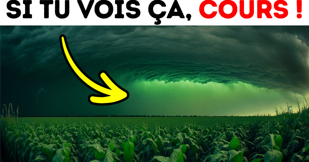 Si tu vois le ciel devenir vert, trouve vite un abri Si tu vois le ciel devenir vert, trouve vite un abri